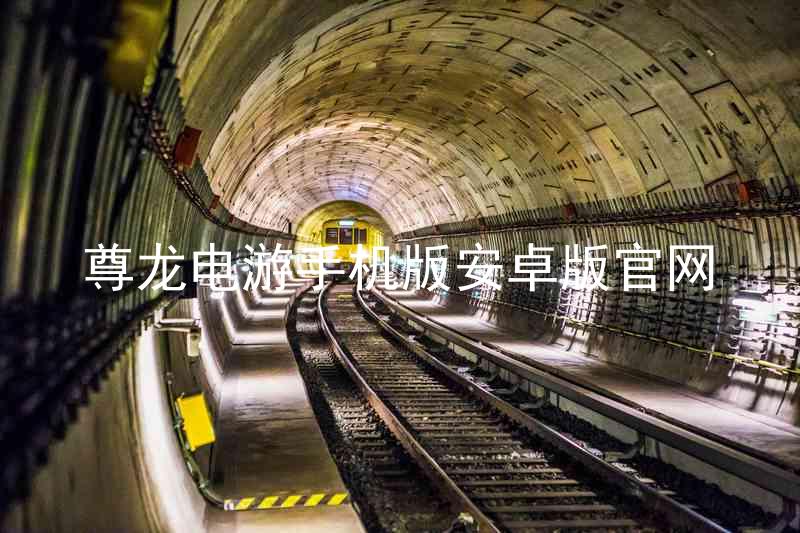 尊龙电游手机版安卓版官网